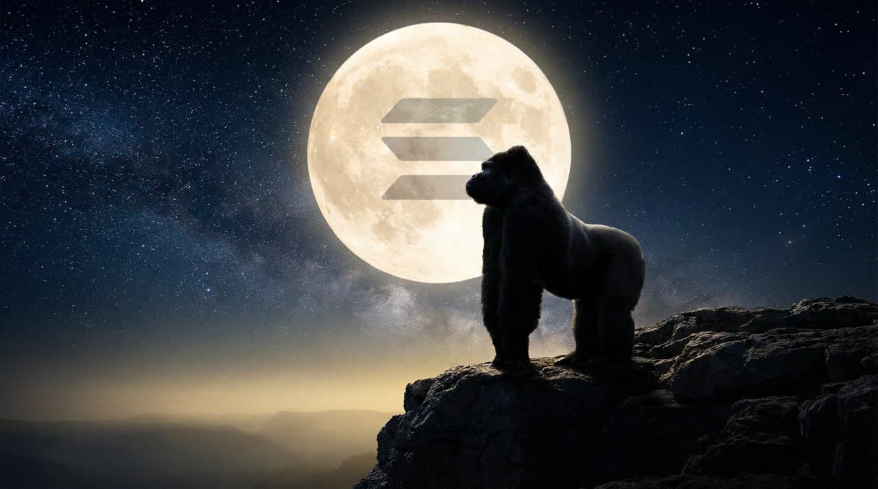 Silverback gorilla standing under a full moon